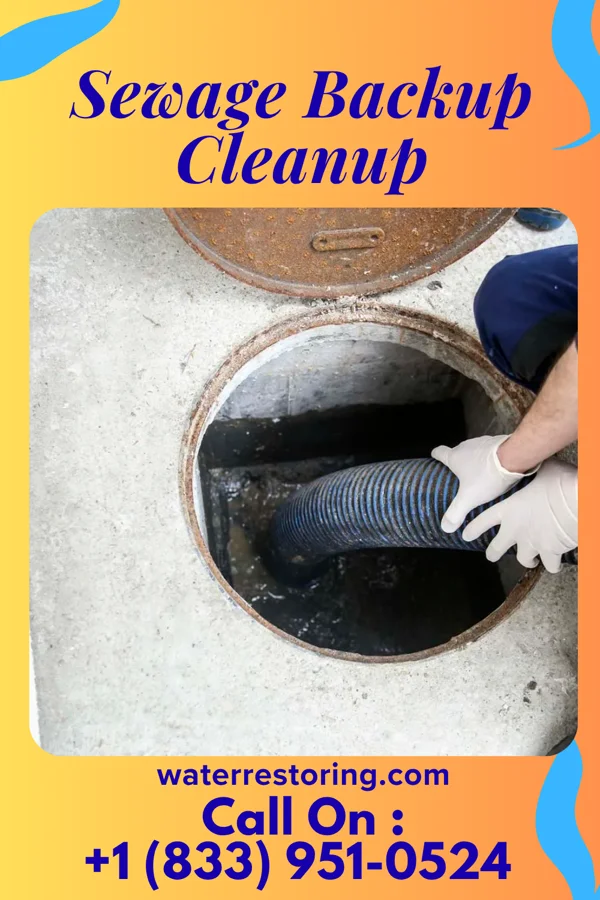 Sewage Backup Cleanup in New Haven, KY