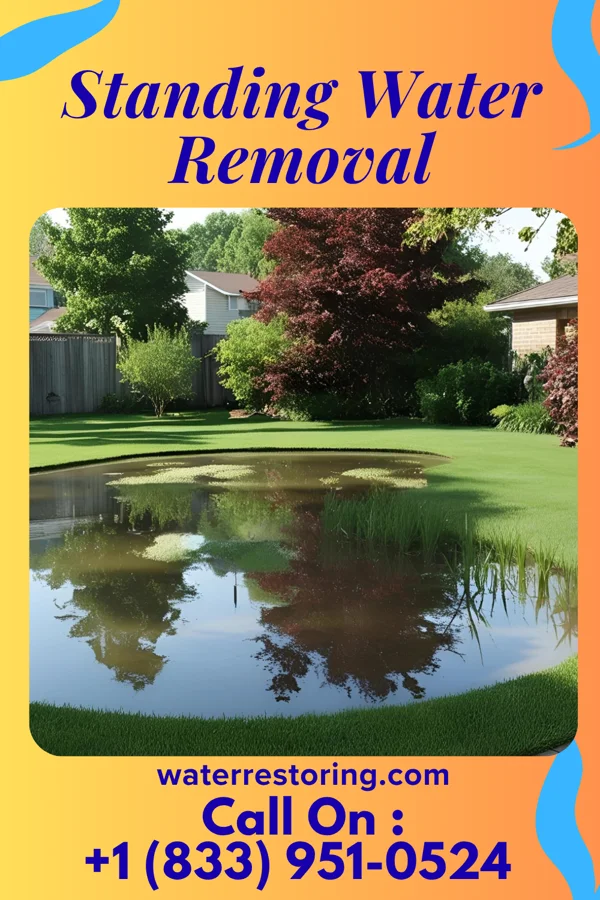 Standing Water Removal in New Haven, KY
